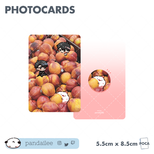 Photocards┊ORV Apples